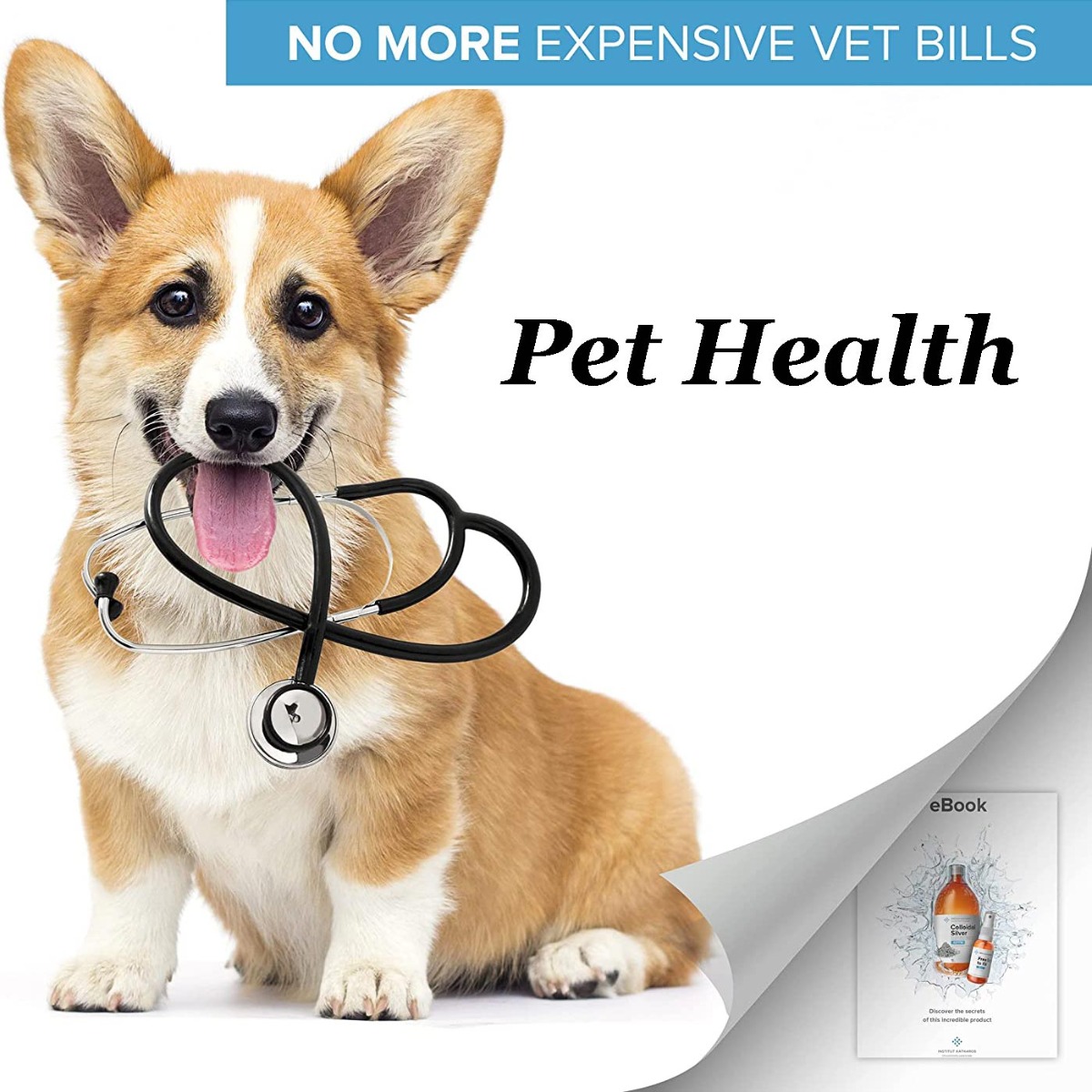 Pet Health Care